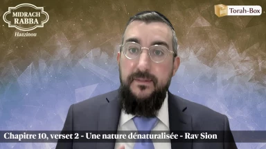 Midrach Rabba - Haazinou (10, 2) - Une nature dénaturalisée