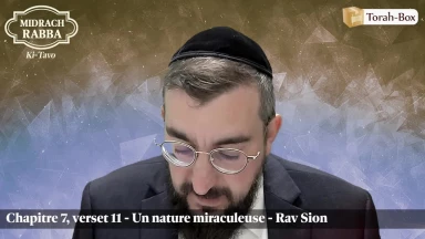 Midrach Rabba - Ki-Tavo (7, 11) - Un nature miraculeuse