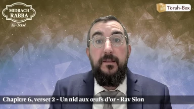 Midrach Rabba - Ki-Tetsé (6, 2) - Un nid aux œufs d'ors