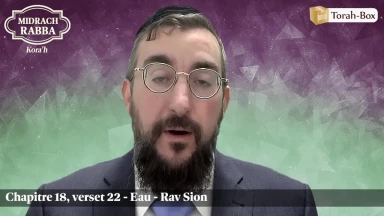 Midrach Rabba - Kora'h (18, 22) - Eau