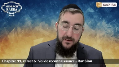 Midrach Rabba - Noa'h (33, 6) - Vol de reconnaissance