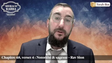 Midrach Rabba - Vayakhel (48, 4) - Notoriété sagesse