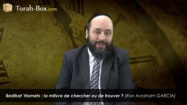 Bedikat 'Hamets : mitsva de chercher ou trouver ?