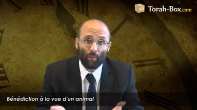 Bénédiction à la vue d'un Animal