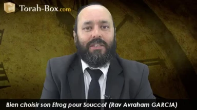 Bien choisir son Etrog pour Souccot