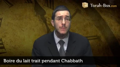 Boire du lait trait pendant Chabbath