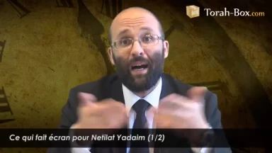 Ce qui fait écran pour Nétilat Yadaïm (1/2)