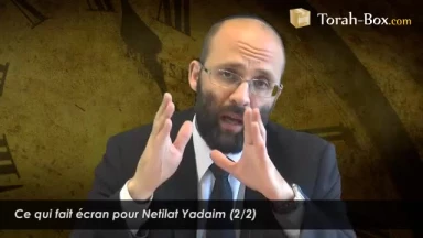 Ce qui fait écran pour Nétilat Yadaïm (2/2)