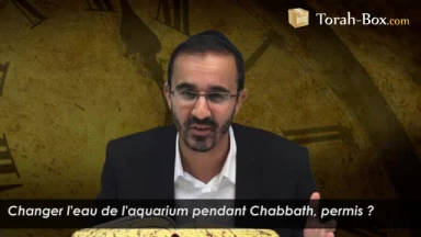 Changer l'eau de l'aquarium le Chabbath, permis ?