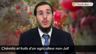 Chémita et fruits d'un agriculteur non-Juif