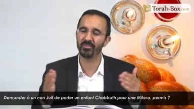 Demander à un non Juif de porter un enfant Chabbath pour une Mitsva, permis ?