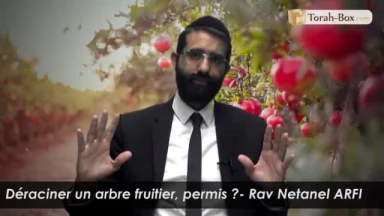 Déraciner un arbre fruitier, permis ?