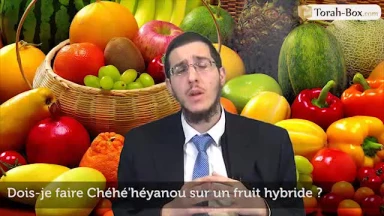 Dois-je faire Chéhé'héyanou sur un fruit hybride ?