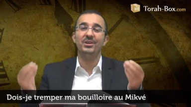 Dois-je tremper ma bouilloire au Mikvé ?