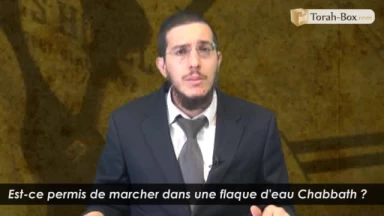 Marcher dans une flaque d'eau Chabbath ?