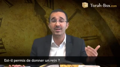 Donner un rein, permis ?