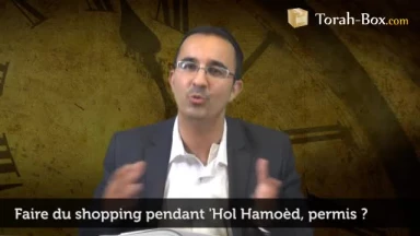 Faire du shopping à 'Hol Hamoèd, permis ?