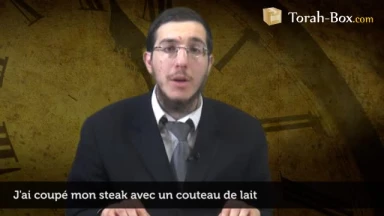 J'ai coupé mon steak avec un couteau de lait