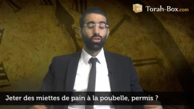 Jeter des miettes de pain à la poubelle, permis ?