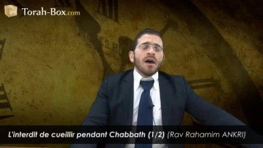 Cueillir pendant Chabbath (1/2)