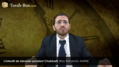 L'interdit de labourer pendant Chabbath