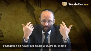 Nourrir ses animaux avant soi-même