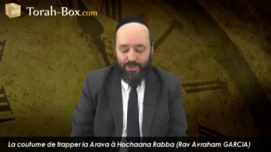 Frapper la Arava à Hochaana Rabba