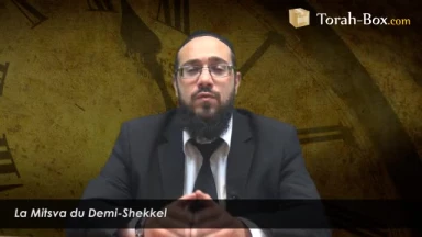 Ma'hatsit Hachékel : la Mitsva du Demi-Chékel