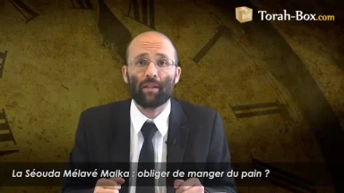 Mélavé Malka : suis-je obligé de manger du pain ?