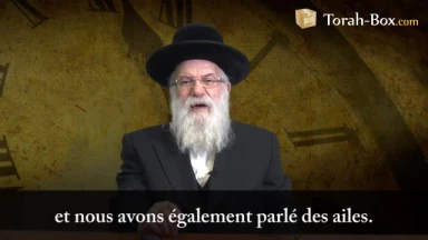 Comment cachériser un poulet ?