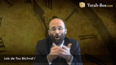 Lois de Tou Bichvat