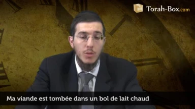 Ma viande est tombée dans un bol de lait chaud