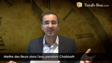 Mettre des fleurs dans l'eau pendant Chabbat