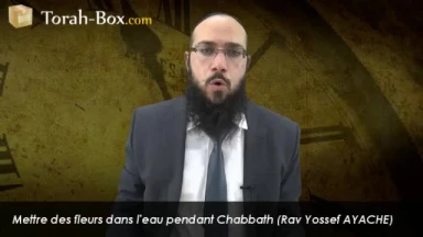 Mettre des fleurs dans l'eau le Chabbath