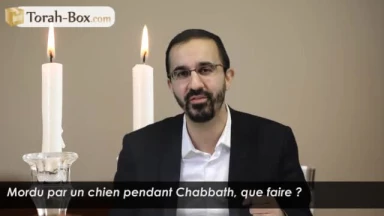 Mordu par un chien pendant Chabbath, que faire ?