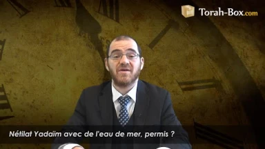 Nétilat Yadaïm avec de l'eau de mer
