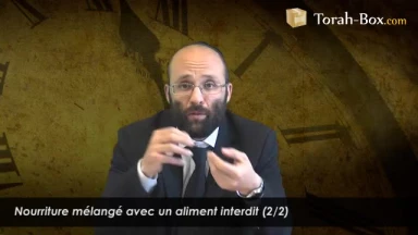 Nourriture mélangée avec un aliment interdit (2/2)