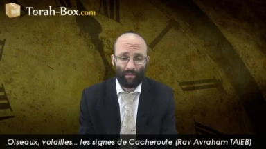 Oiseaux, volailles... les signes de Cacheroute