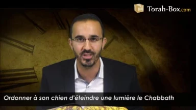 Ordonner à son animal d'éteindre une lumière le Chabbath