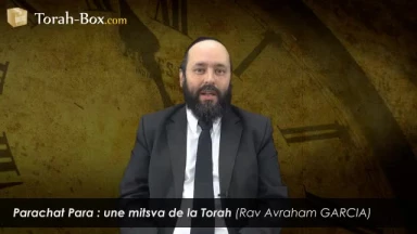 Parachat Para : une Mitsva de la Torah !
