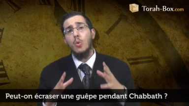 Peut-on écraser une guêpe pendant Chabbath ?