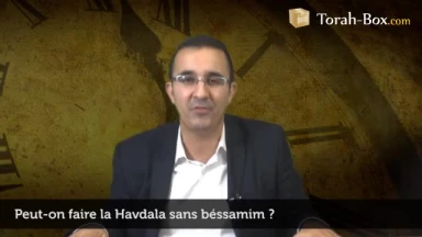 Peut-on faire la Havdala sans Béssamim (senteurs) ?