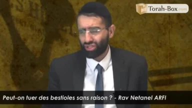 Peut-on tuer des bestioles sans raison ?