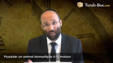 Posséder un animal domestique à la maison