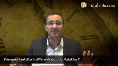 Pourquoi tant d'avis différents dans la Halakha ?