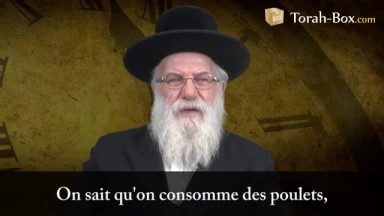 Le scandale des poulets "Braekel"