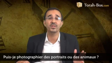 Photographier des portraits ou des animaux, permis ?