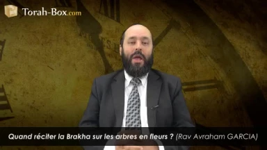 Birkat Ha-Ilanot : la bénédiction sur les arbres en fleurs