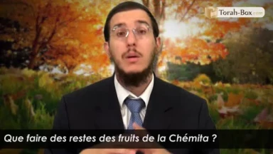 Que faire des restes des fruits de la Chémita ?