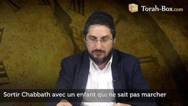 Sortir Chabbath avec un enfant qui ne sait pas marcher